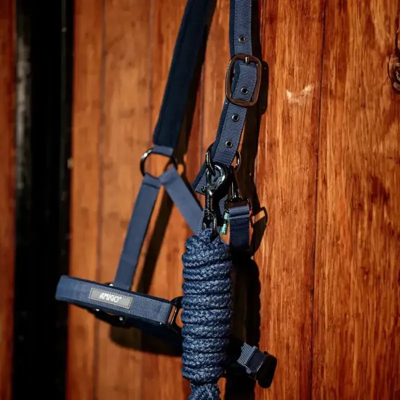 Amigo Halter and Lead Rope Set - Navy-4