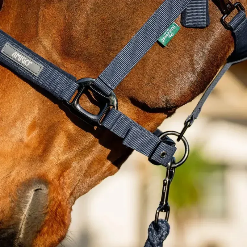Amigo Halter and Lead Rope Set - Navy-5