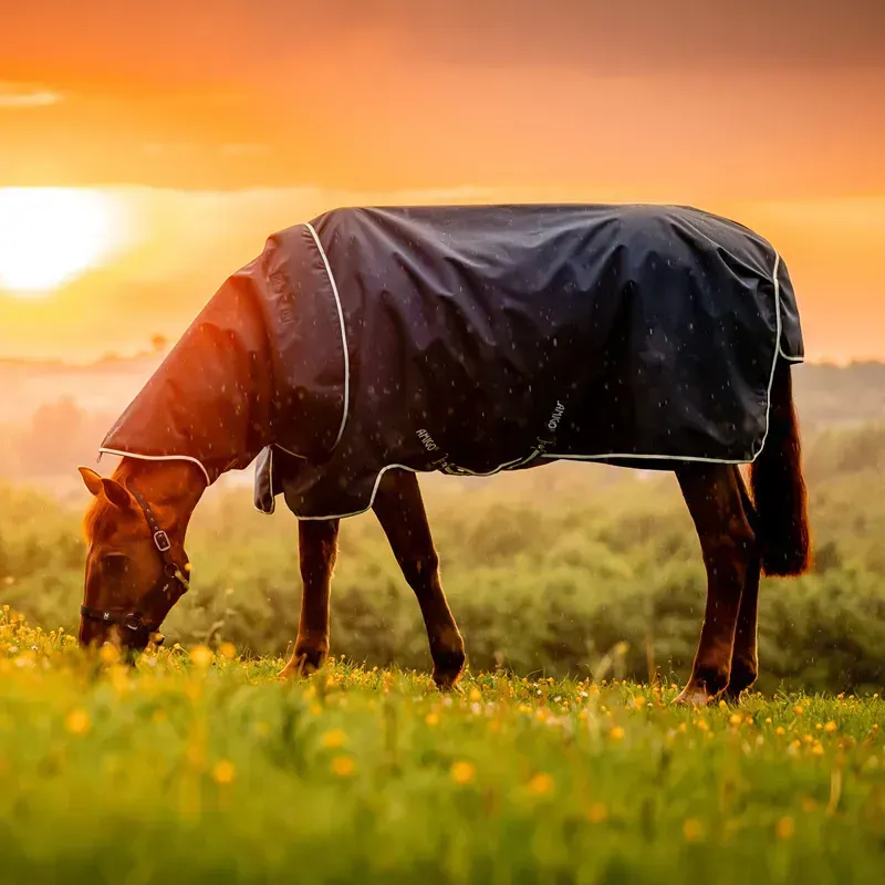 Amigo Pony Ripstop 900D Plus 200g Turnout Blanket - Witney Navy