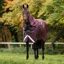 Amigo 1200D Plus 50g Detach-A-Neck Turnout Blanket - Burgundy/Navy/Grey