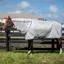 Amigo XL Bug Rug Plus Detach-A-Neck Fly Sheet - Silver/Titanium Grey