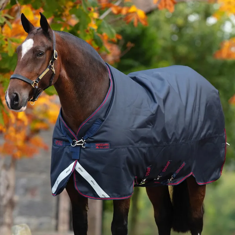 Amigo Bravo 12 XL Standard Neck 0g Turnout Blanket - Navy/Navy/Red-1