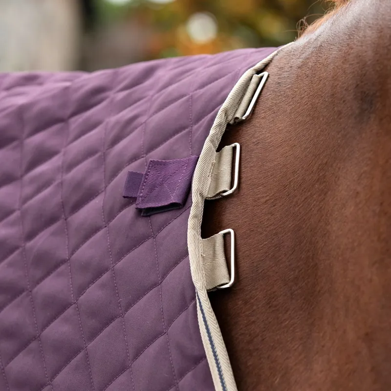 Amigo Disc Front Plus 200g Stable Blanket - Fig/Navy/Tan-3