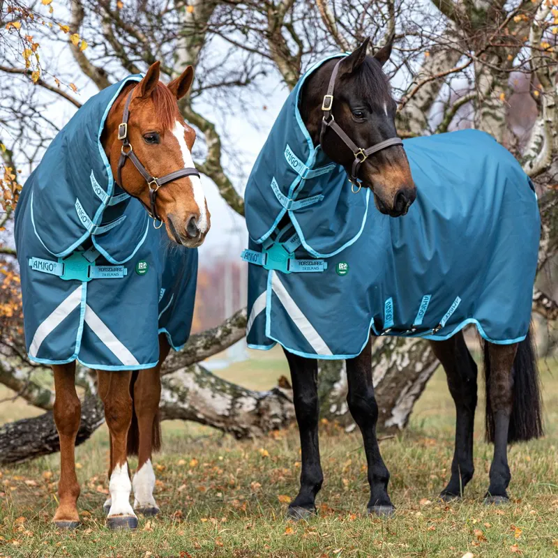 Amigo AmECO 1200D Plus 250g Turnout Blanket - Dark Blue/Teal-1