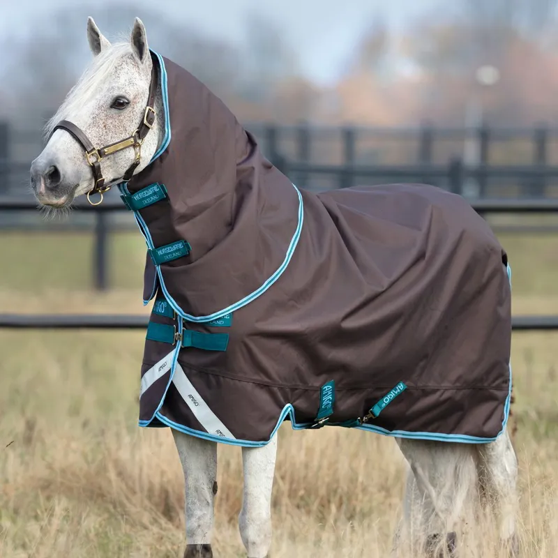 Amigo Pony Bravo 12 Plus 0g Lite Turnout Blanket - Excalibur/Aqua