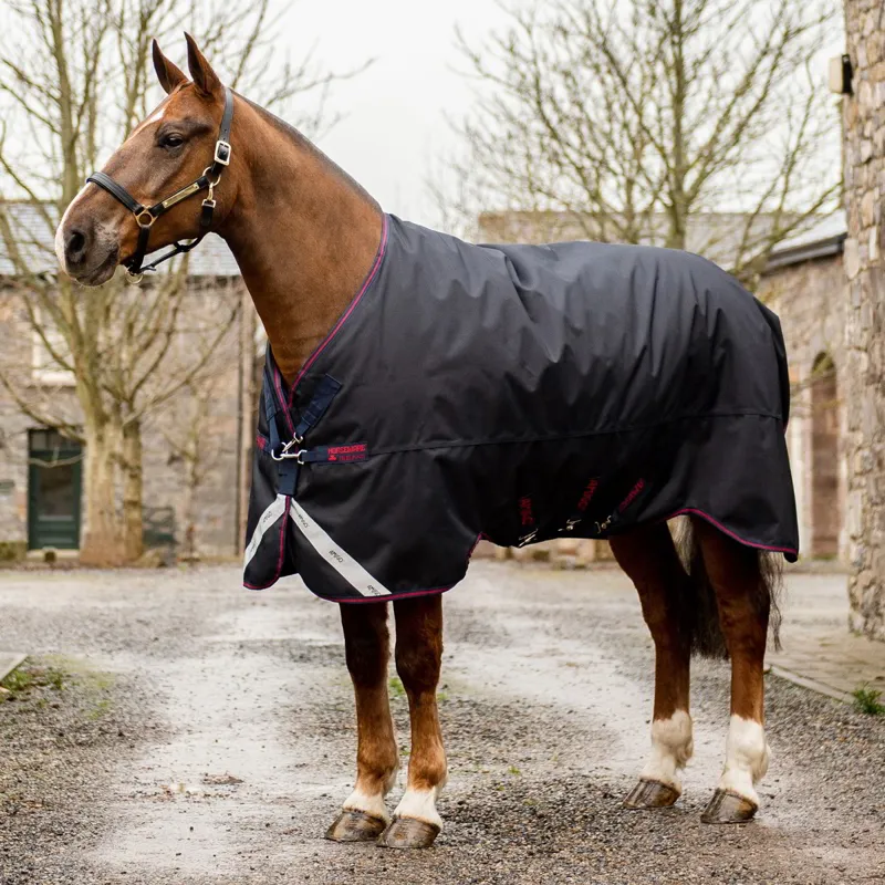 Amigo Bravo 12 XL Standard Neck 0g Turnout Blanket - Navy/Navy/Red