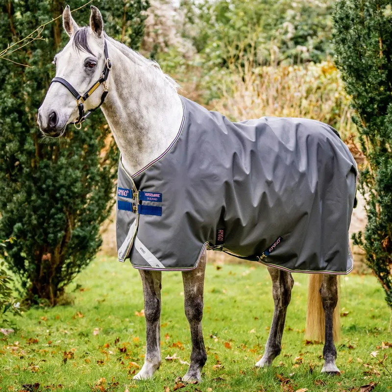 Amigo Bravo 12 Original 0g Turnout Sheet - Shadow/Navy/Rose