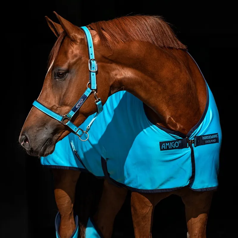 Amigo Jersey Cooler Sheet - Delphinium Blue/Navy - 5ft9-3