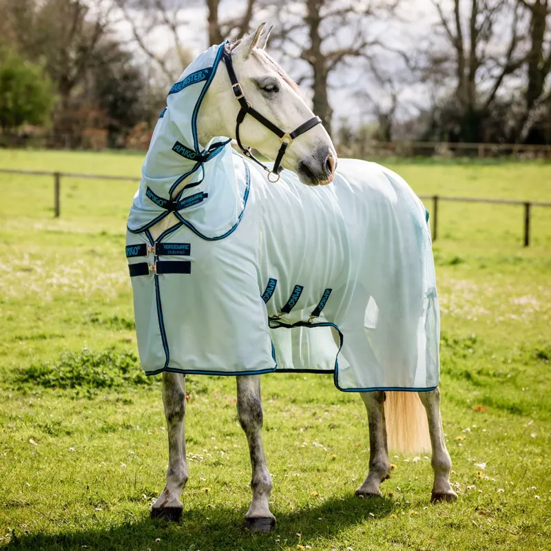 Amigo Bug Buster Fly Sheet - Azure Blue/Navy/Electric Blue