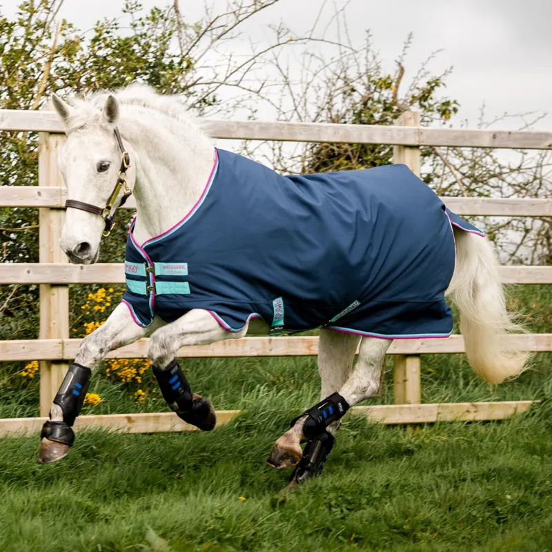 Amigo Pony Hero 900D 0g Turnout Sheet - Dark Blue/Capri/Raspberry-1