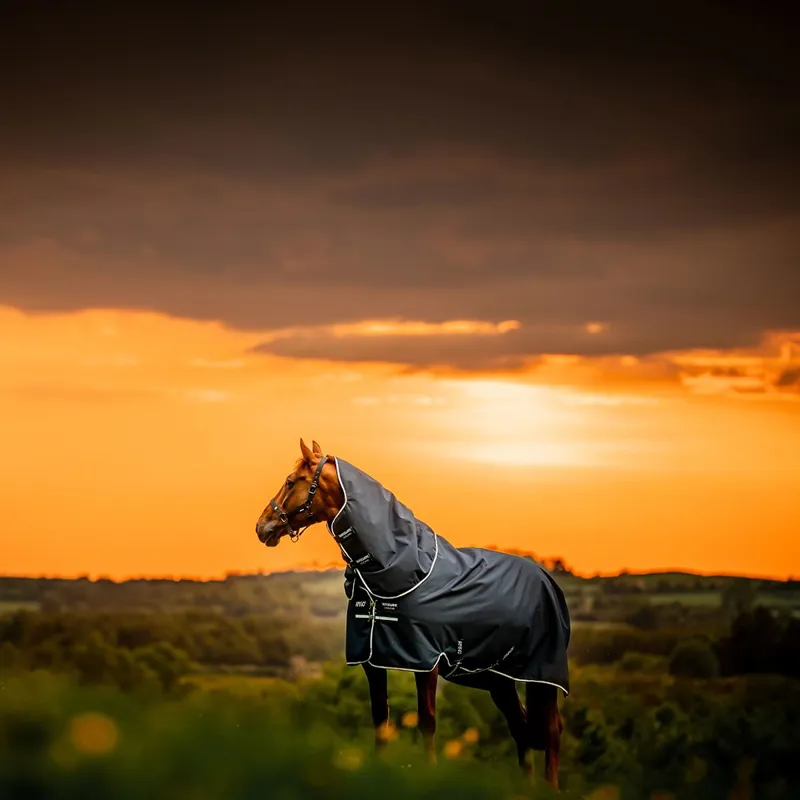 Amigo Ripstop 900D Plus 0g Turnout Blanket - Witney Navy-12