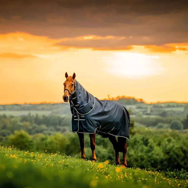 Amigo Ripstop 900D Plus 0g Turnout Blanket - Witney Navy-11