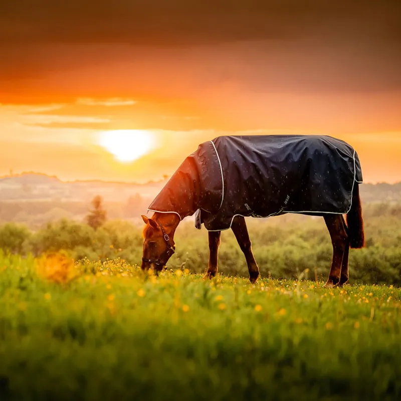 Amigo Ripstop 900D Plus 0g Turnout Blanket - Witney Navy-9