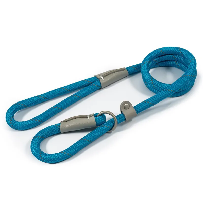 Ancol Viva Reflective Dog Slip Lead - Blue-1
