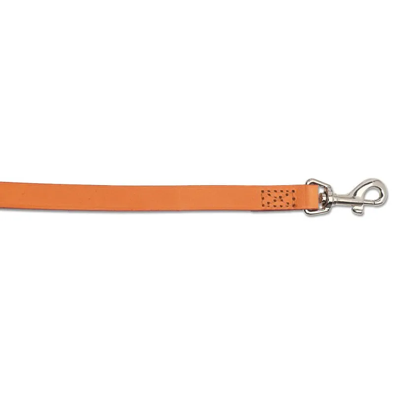 Ancol Classic Leather Dog Leash - Tan