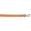 Ancol Classic Leather Dog Leash - Tan