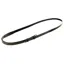 Dever Ascot Leather Neck Strap with Loop - Black