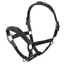 Animo Utility Leather Halter - Nero Black