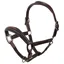 Animo Utility Leather Halter - Marrone Brown