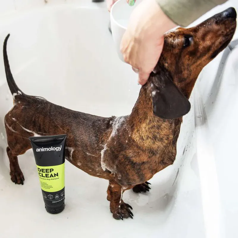 Animology Deep Clean Shampoo - 250ml-1