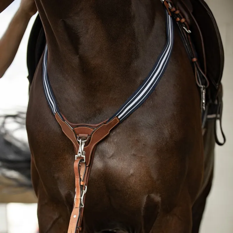 Antares Grained Elastic Breastplate: Brown-2