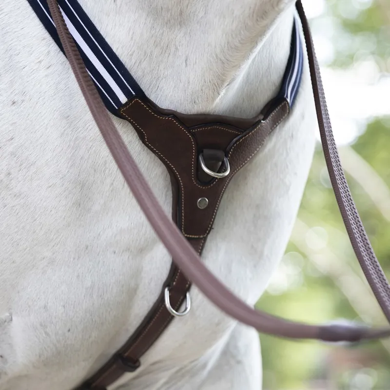 Antares Grained Elastic Breastplate: Brown-3