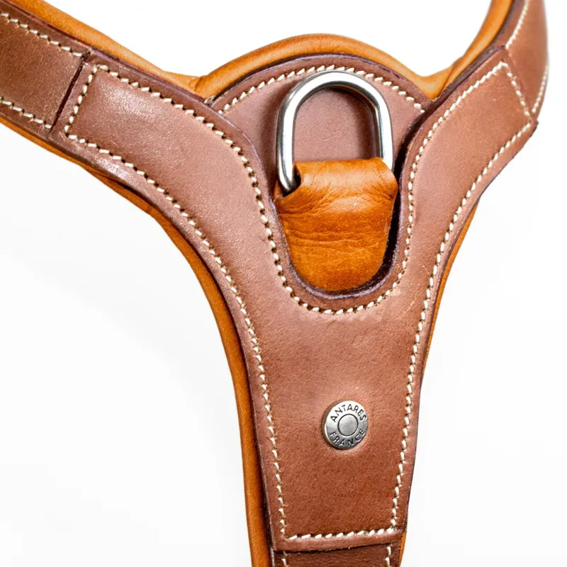 Antares Precision Breastplate with Loops - Brown-1