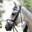 Antares Origin Grackle Bridle - Black
