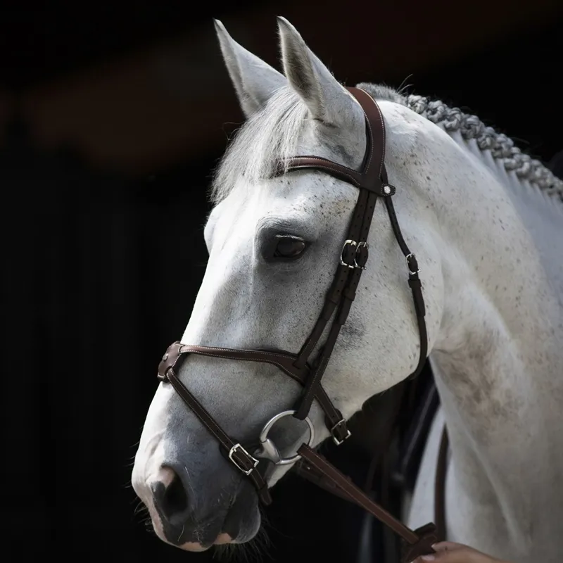 Antares Origin Figure 8 Bridle - Brown