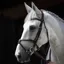 Antares Origin Figure 8 Bridle - Brown