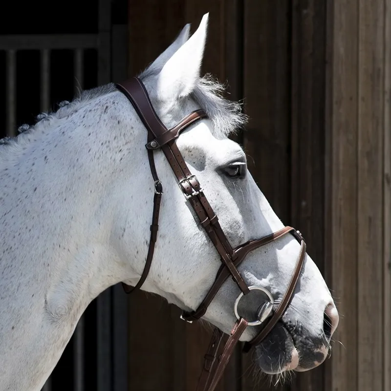 Antares Origin Figure 8 Bridle - Brown-1