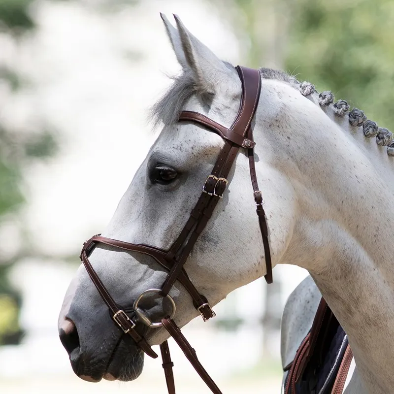 Antares Origin Figure 8 Bridle - Brown-2
