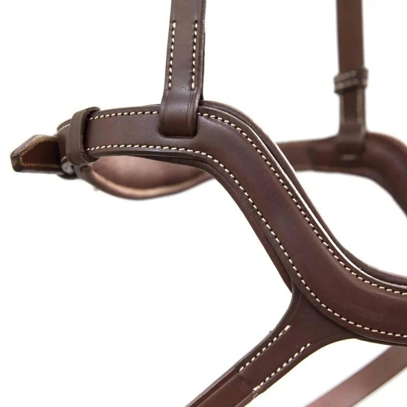 Antares Precision Y Noseband Bridle - Brown-4