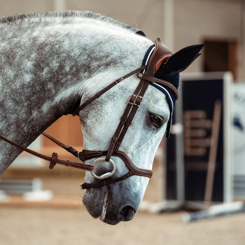 Antares Precision Y Noseband Bridle - Brown