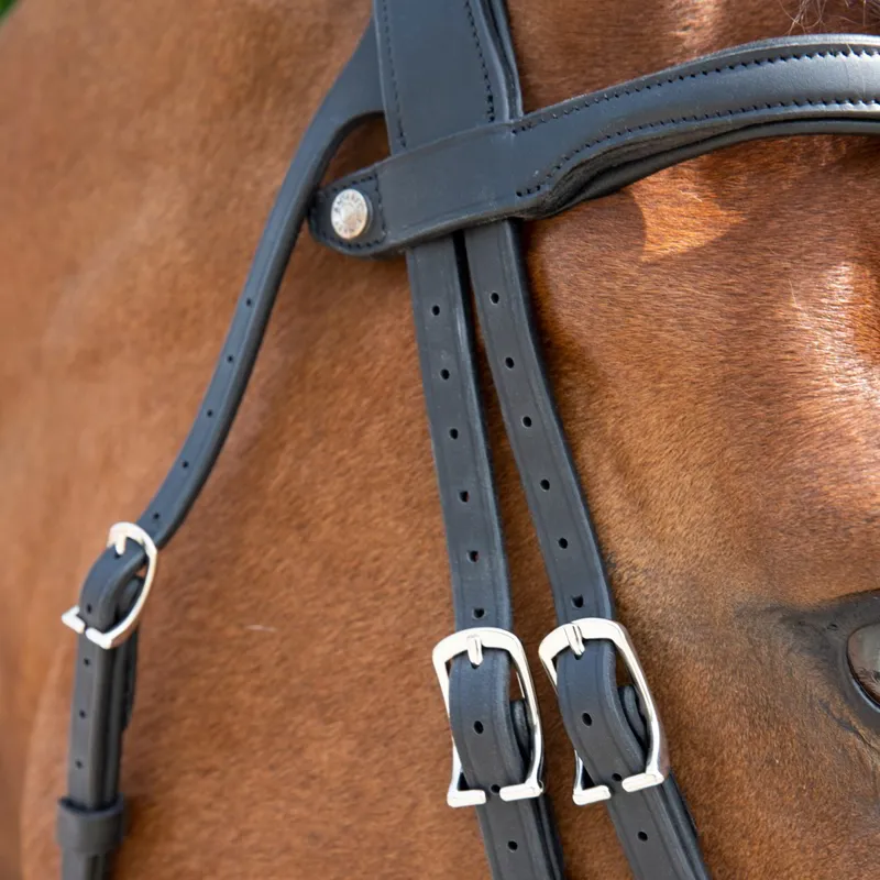 Antares Precision Comfort Noseband Bridle - Black-4