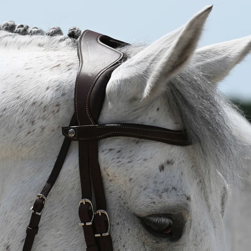 Antares Precision Comfort Noseband Bridle - Brown-6