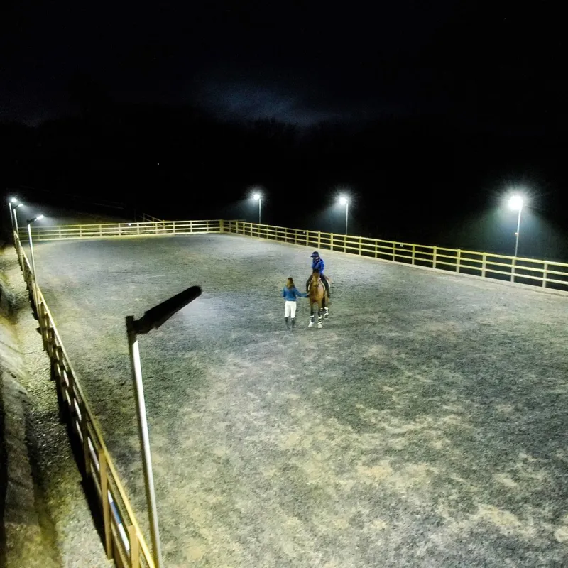 Solar Technology Arena2K Solar-Powered Arena Flood Light-5