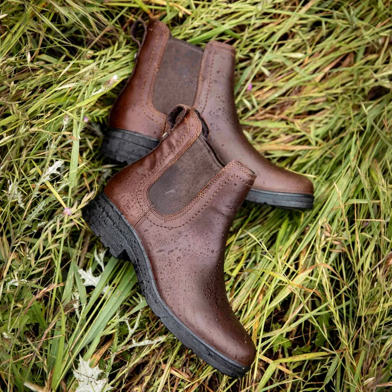 Ariat Langley Women's Waterproof Chelsea Boots - Tobacco Brown-4