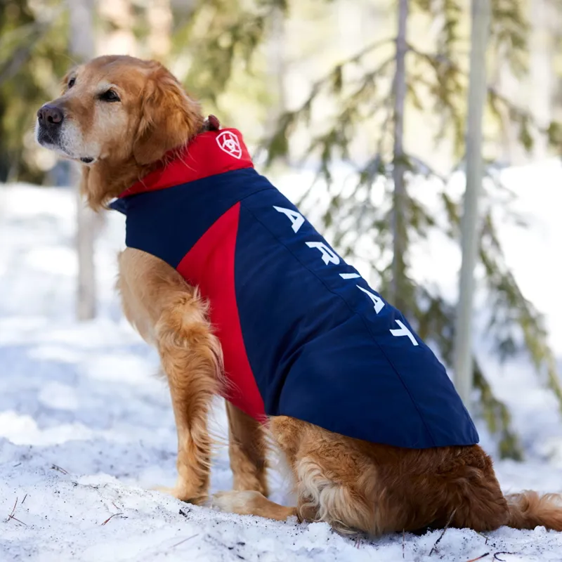 Ariat Team Softshell Dog Coat - Navy