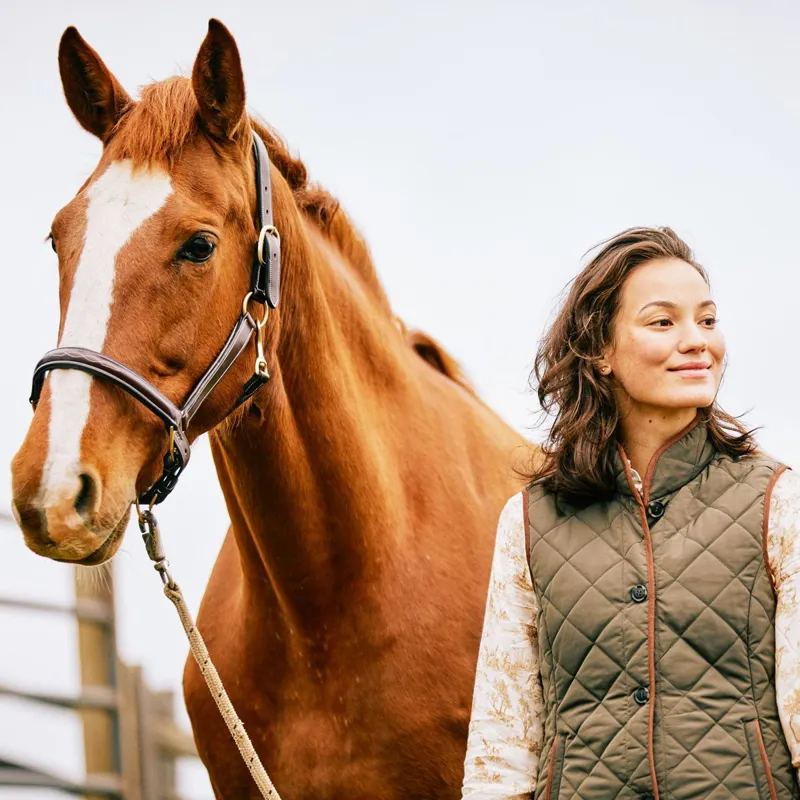 Ariat Country Woodside 2.0 Women's Quilted Vest - Earth-9