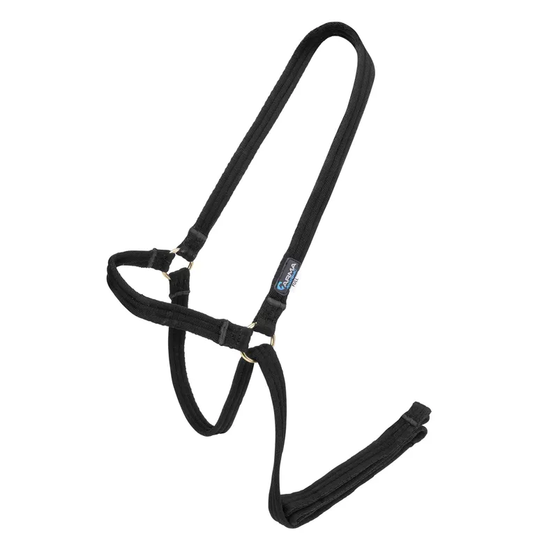 ARMA Cushion Web Halter and Lead Rope - Black