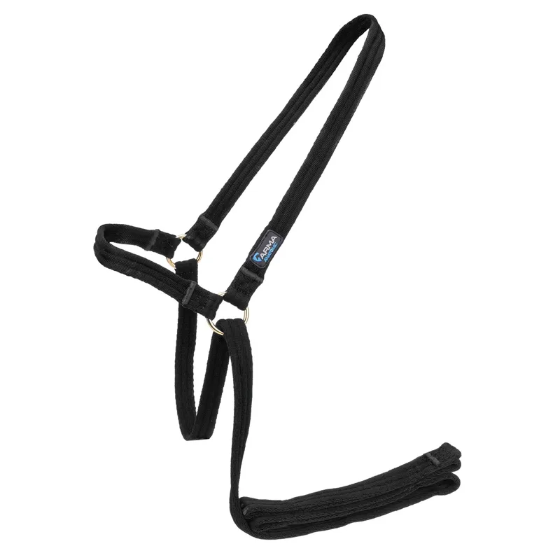 ARMA Cushion Web Halter and Lead Rope - Black-1