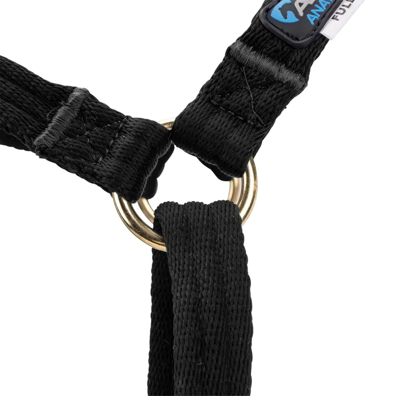 ARMA Cushion Web Halter and Lead Rope - Black-5