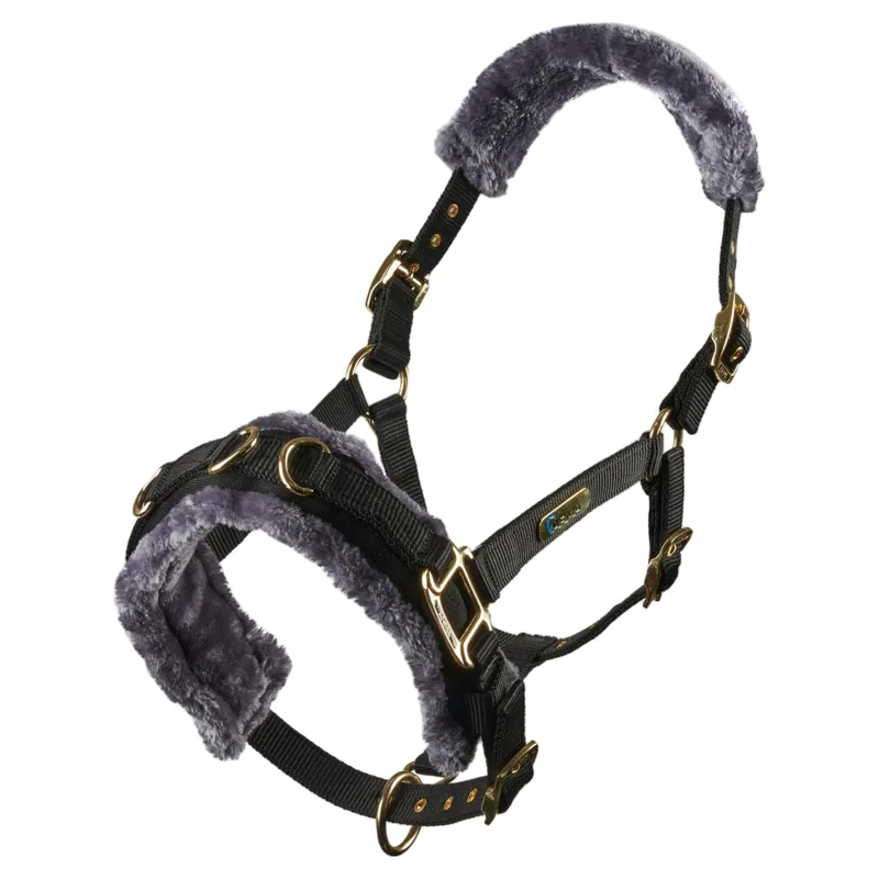 ARMA Fleece Lined Lunging Cavesson - Black-1