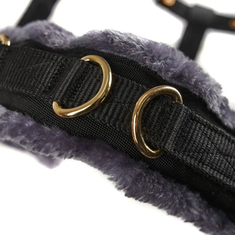 ARMA Fleece Lined Lunging Cavesson - Black-2