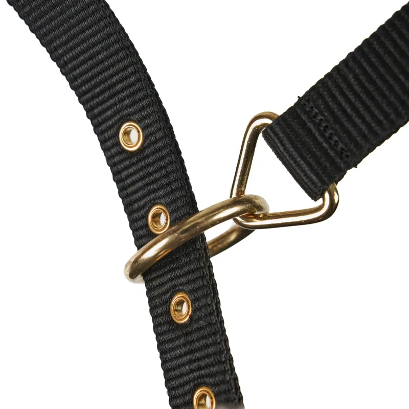 ARMA Fleece Lined Lunging Cavesson - Black-3
