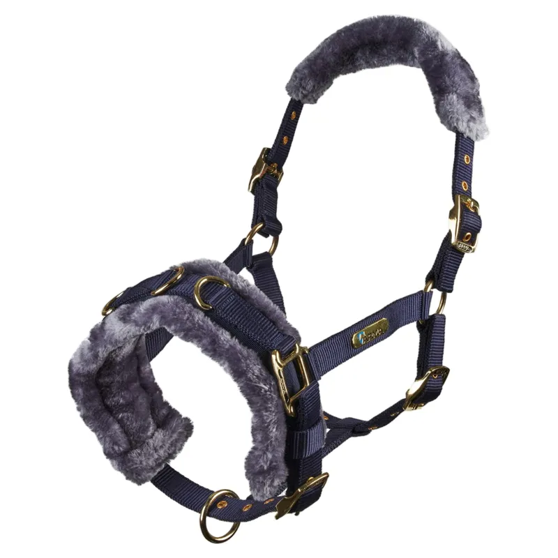 ARMA Fleece Lined Lunge Cavesson - Navy-1