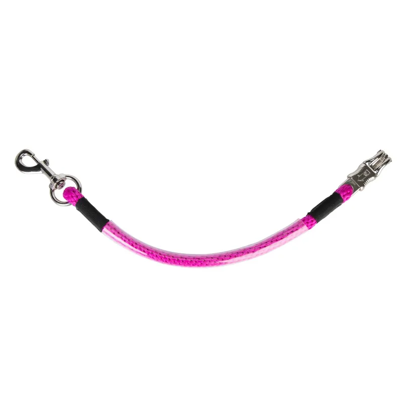 ARMA Heavy Duty Trailer Tie - Raspberry
