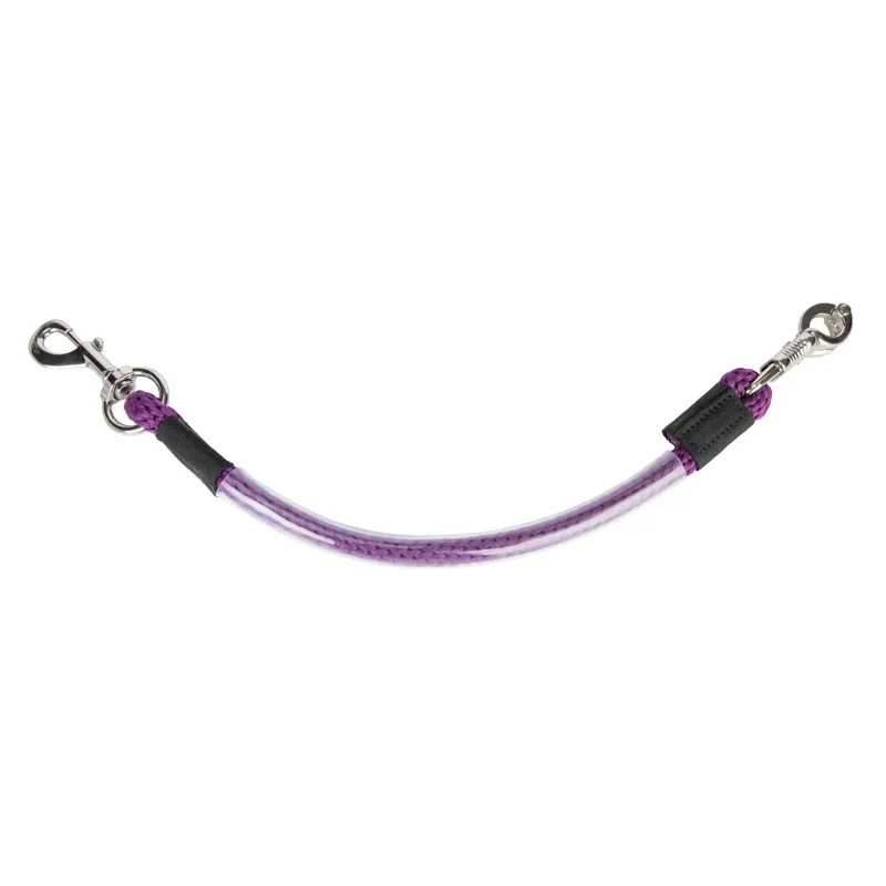 ARMA Heavy Duty Trailer Tie - Purple