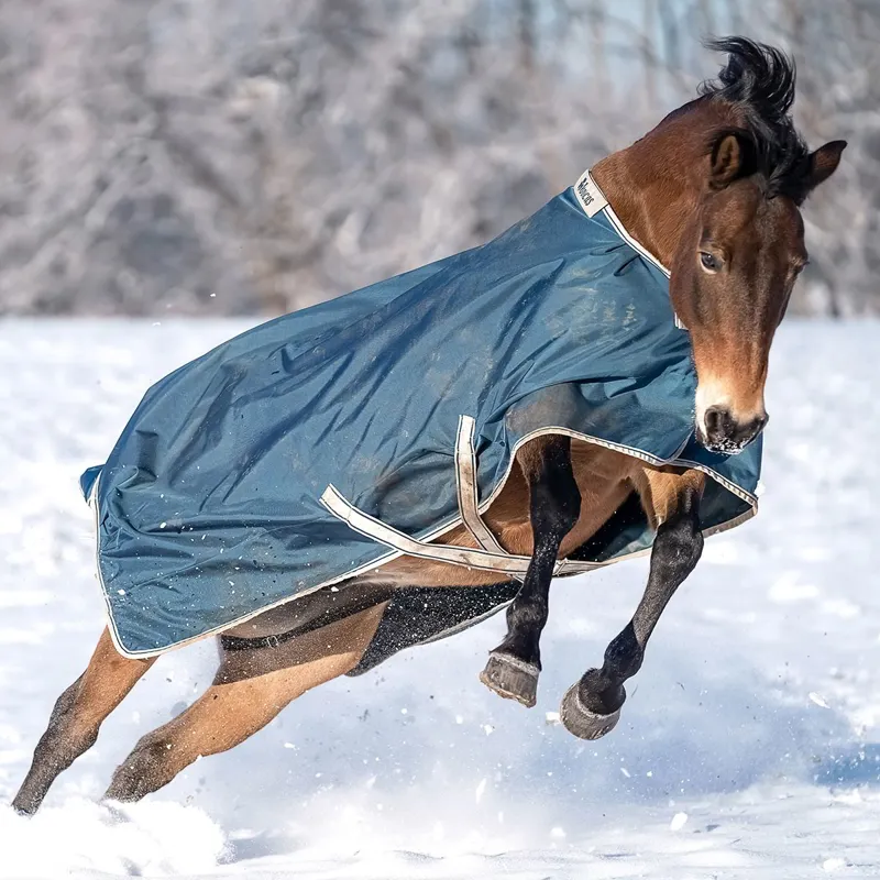 Bucas Atlantic 50g Standard Neck Turnout Blanket - Atlantic Green-6